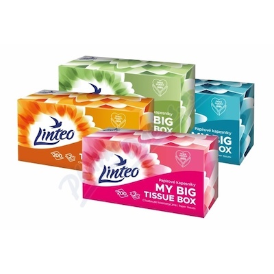 Linteo Papírové kapesníky 2vrstvé box 200ks
