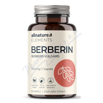 Allnature Elements Berberin 500mg cps.60